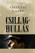 Csillaghullás