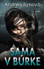 Sama v búrke