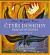 Čtyři dohody - pracovní kniha - audiokniha