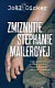Zmiznutie Stephanie Mailerovej