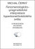 Fenomenologicko-pragmatistická interpretace hyperkonektivistického světa