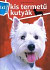 Kis termetű kutyák - 1x1 kalauz