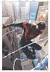 Spider-man - Miles Morales Omnibus