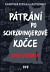 Pátrání po Schrödingerově kočce