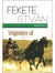 Végtelen út