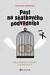 Past na sňatkového podvodníka