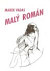 Malý román