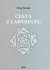 Cesta z labyrintu