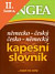 Lacná kniha Německo-český česko německý kapesní slovník