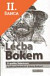 Lacná kniha Léčba Bokem