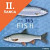 Lacná kniha 365 Fish