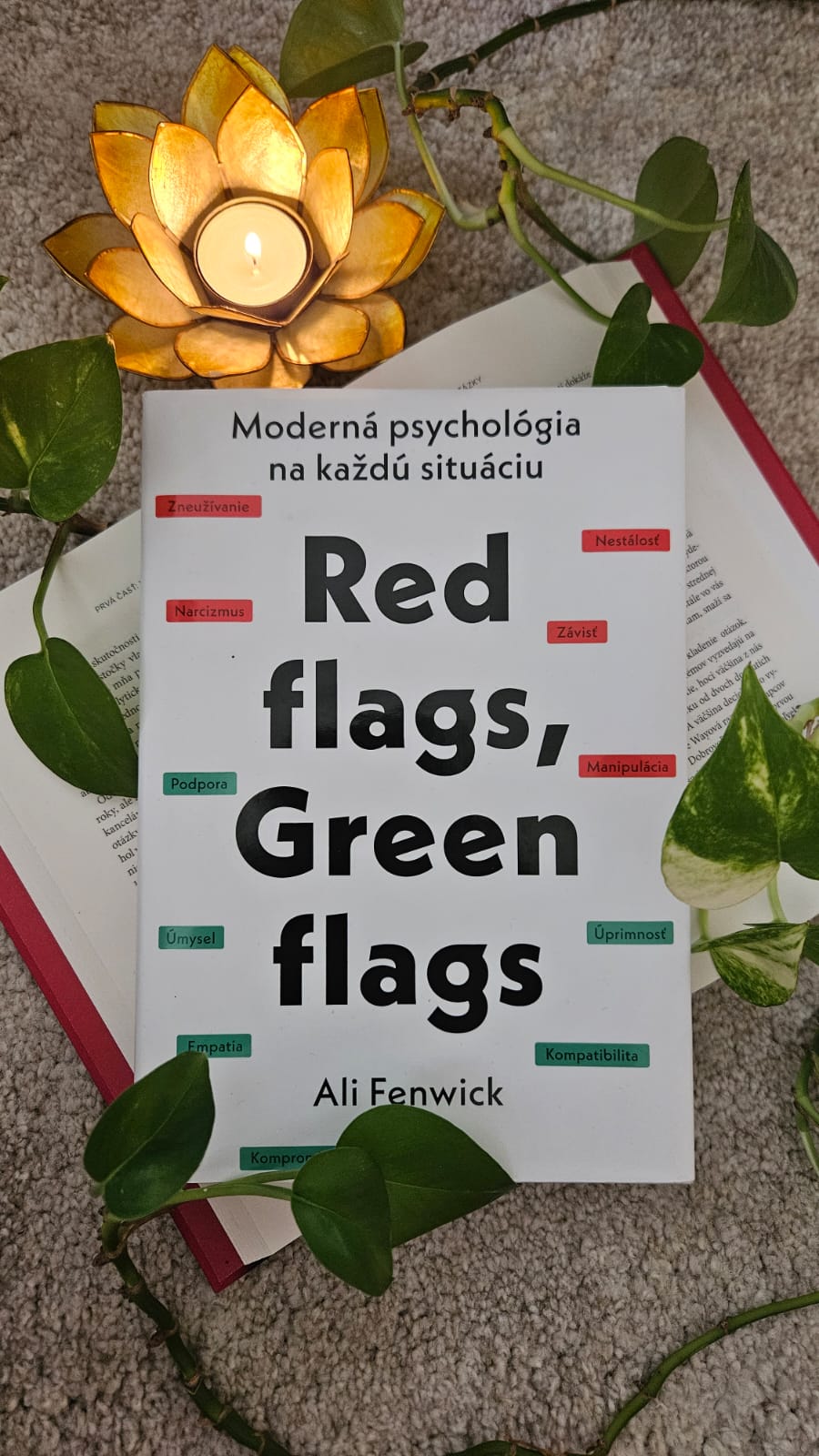 Red flags, Green flags